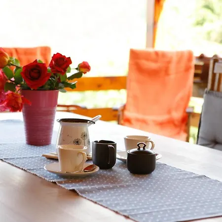 Bomas House Tatil Evi Cerkno