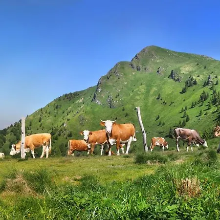 Feriehus Bomas House