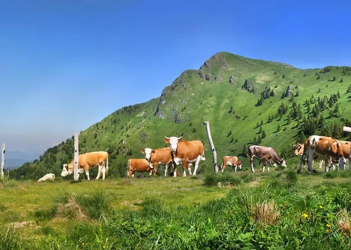 Holiday home Bomas House